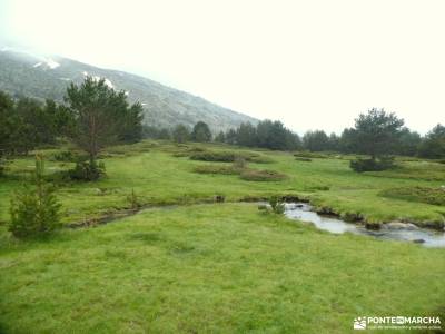 Senderos con historia: De la Pradera de Navalhorno al Chozo Arangüez: turismo por guadalajara agenci